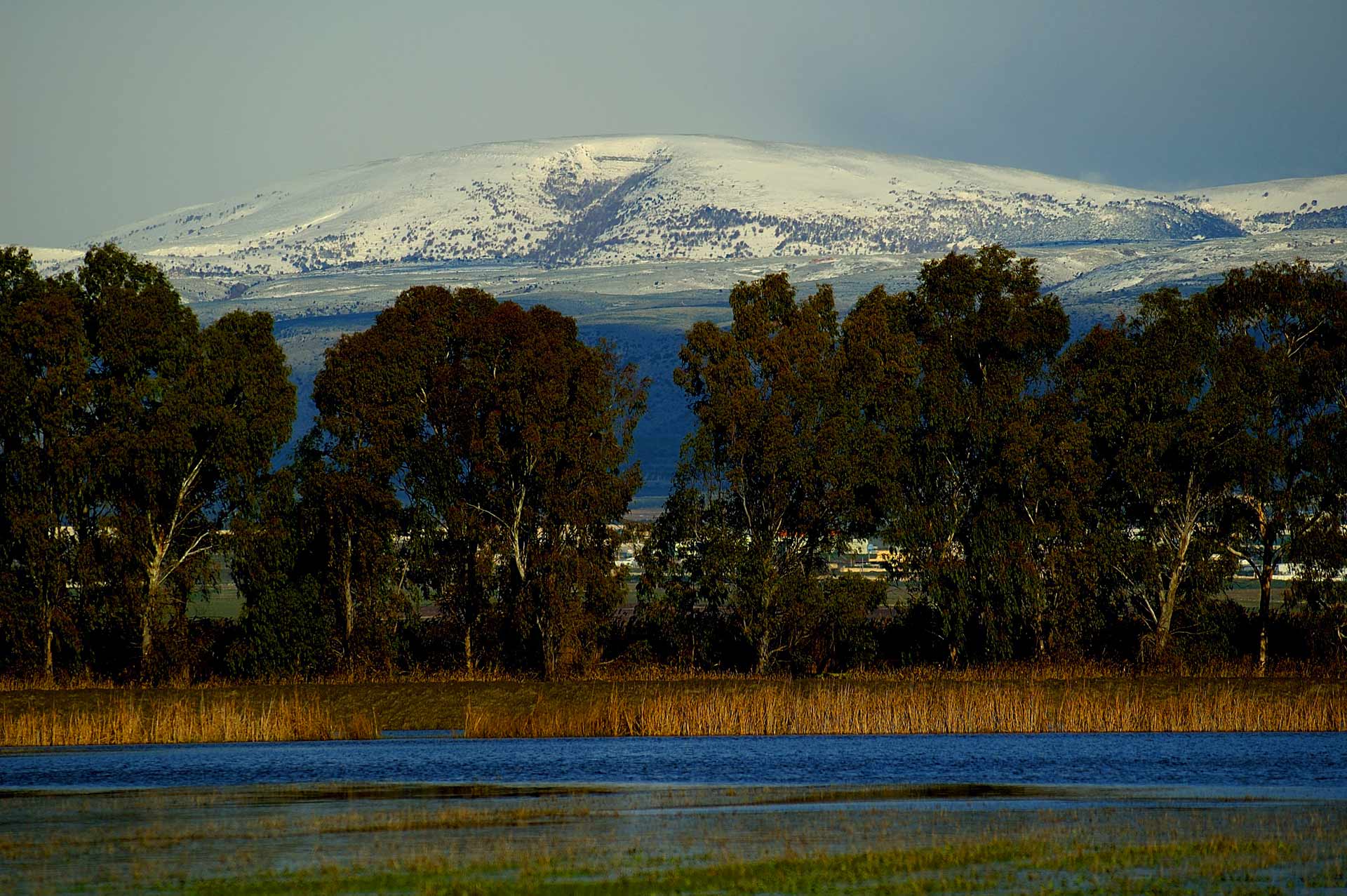 Salviamo l’Oasi del Lago Salso di Manfredonia (FG) NATURE IN ACTION