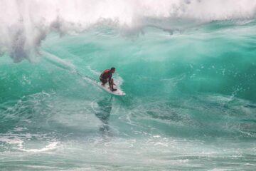 Armando Gariboldi Naturalista Surfer