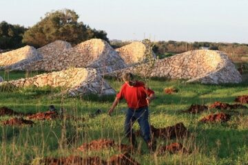 Armando Gariboldi Naturalista - acqua dalle pietre turat