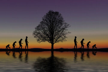Armando Gariboldi Naturalista evoluzione umana human evolution