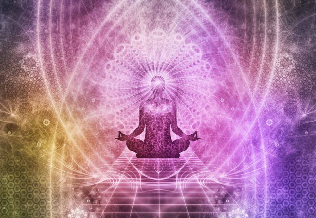 Armando Gariboldi Naturalista meditazione