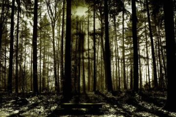 Armando Gariboldi naturalista forestazione
