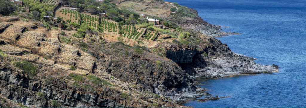 Pantelleria Armando Gariboldi naturalista