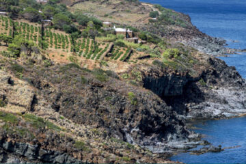Pantelleria Armando Gariboldi naturalista