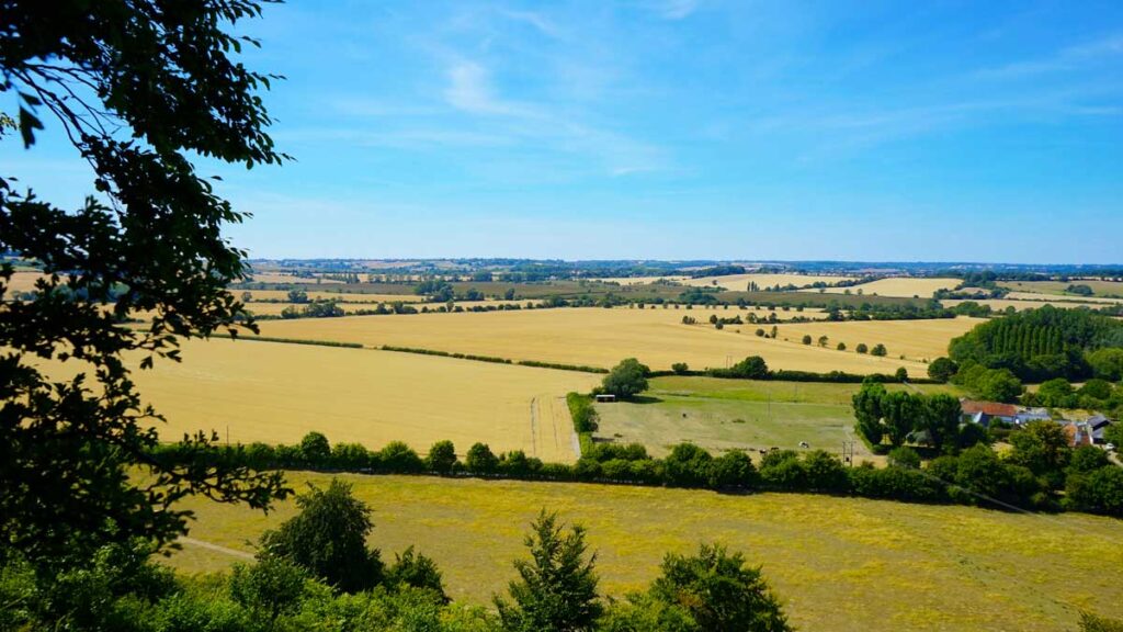 armando gariboldi campagna